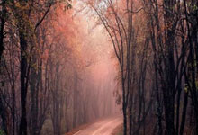 PG电子APP-奥运周期关键战之夜，富安健洋关键时刻站出来